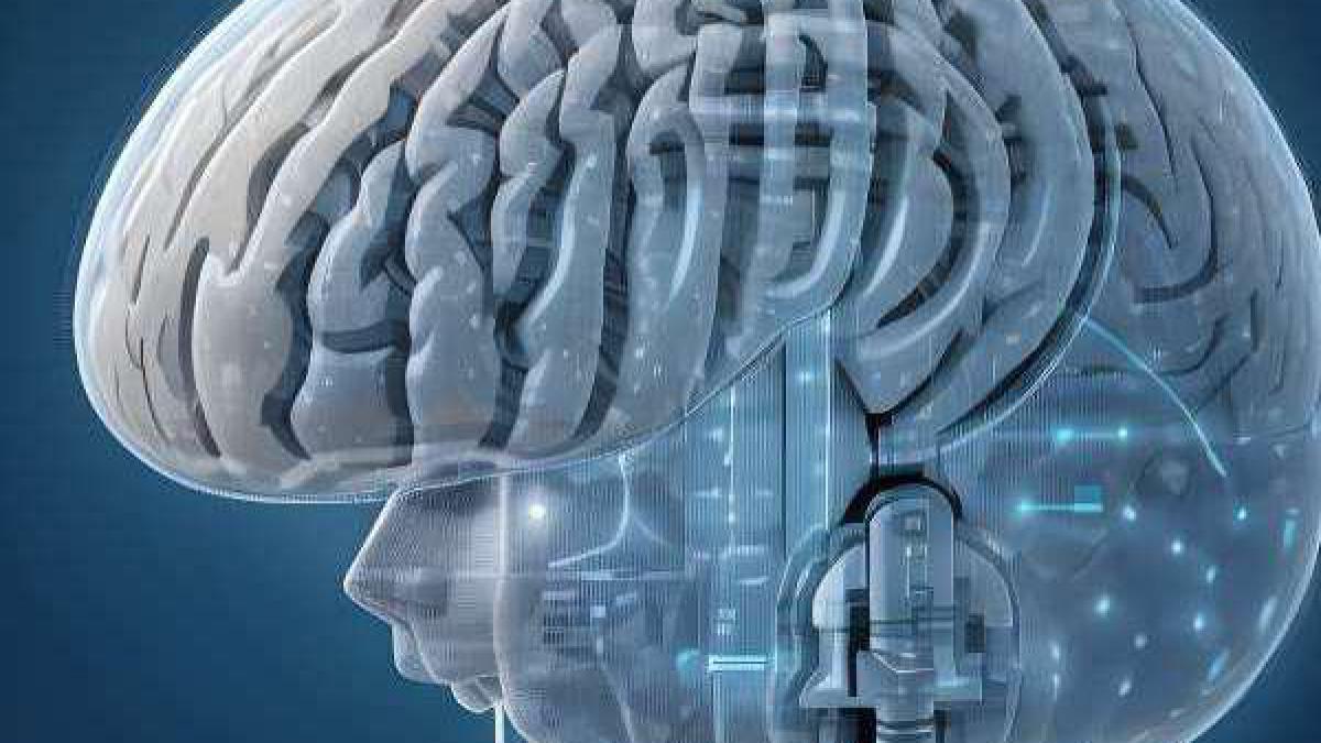 De kracht van neuromarketing!