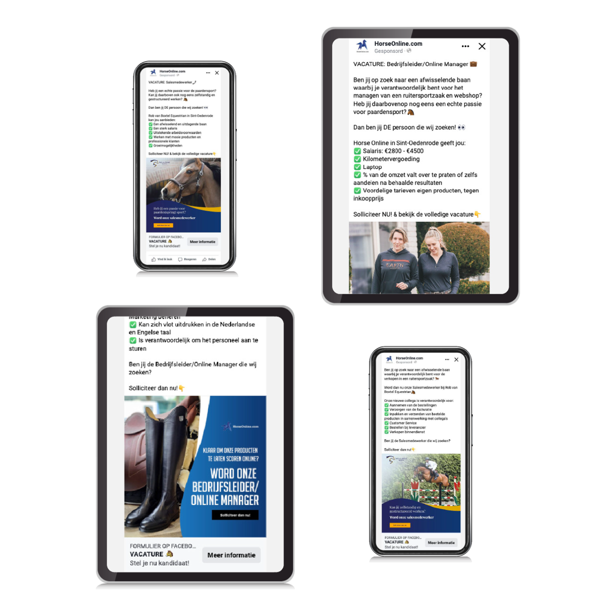 Horse Online — Fully taken care of